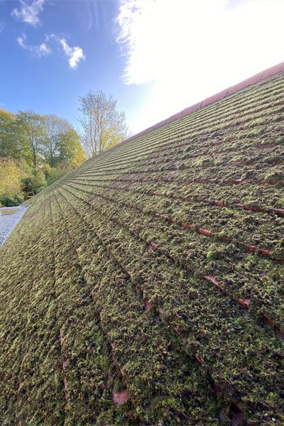 Roof Before Cleaning