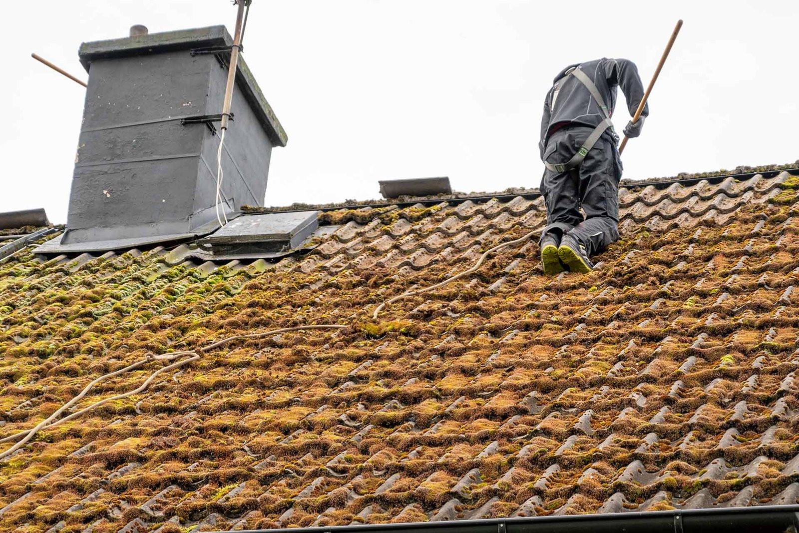 Roof Cleaning Benefits
